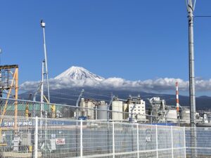 田子の浦漁港からの富士山（鳥も一緒に）